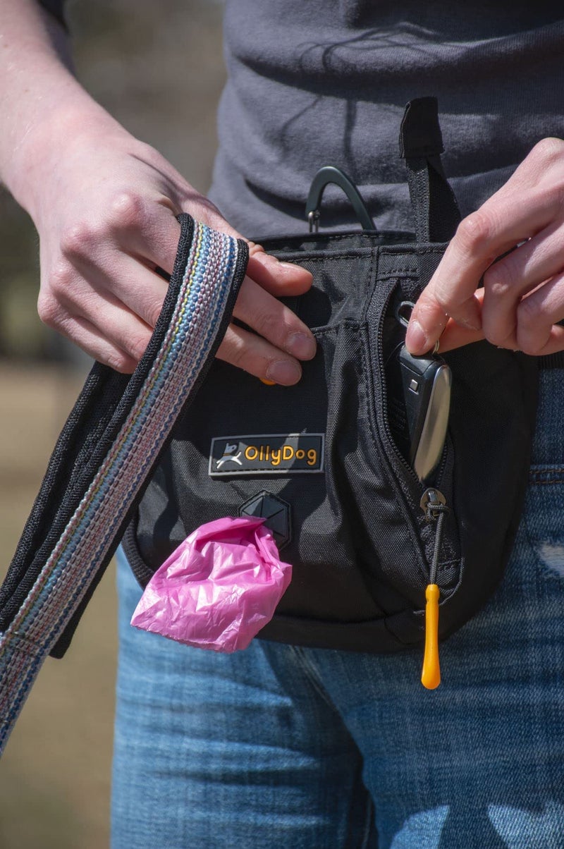 OllyDog Backcountry Day Bag | Hands-Free Dog Training Treat Pouch | Fanny/Hip Pack with Zipper Closure & Built-in Poop Bag Dispenser | Removable Waist Clip (Raven) - Image 4